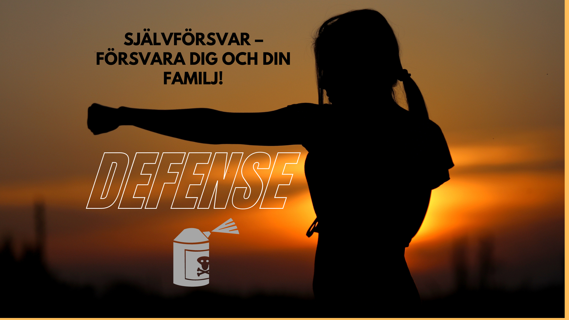 Självförsvar – Försvara dig och din familj